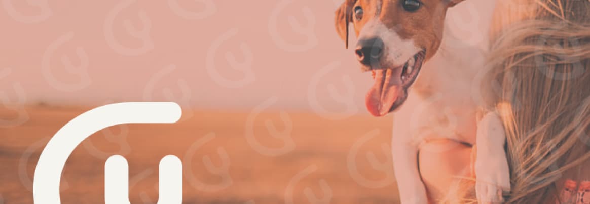 search banner image